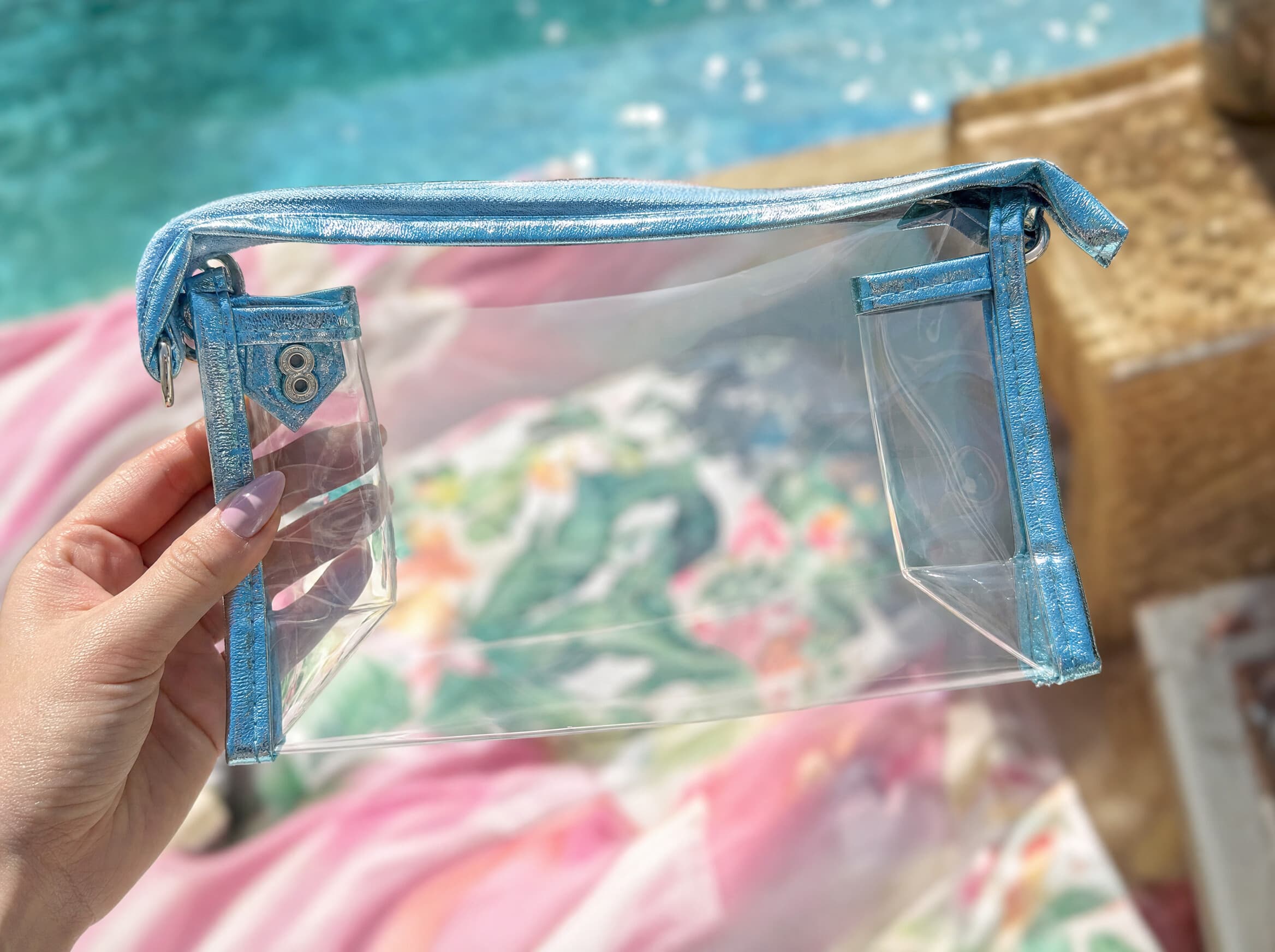 Clear Travel Pouch